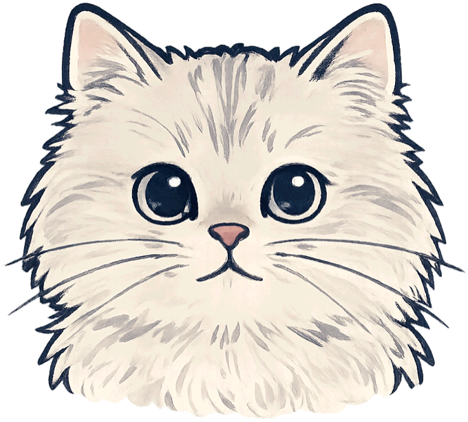 Suhaila the cat, looking straight at you